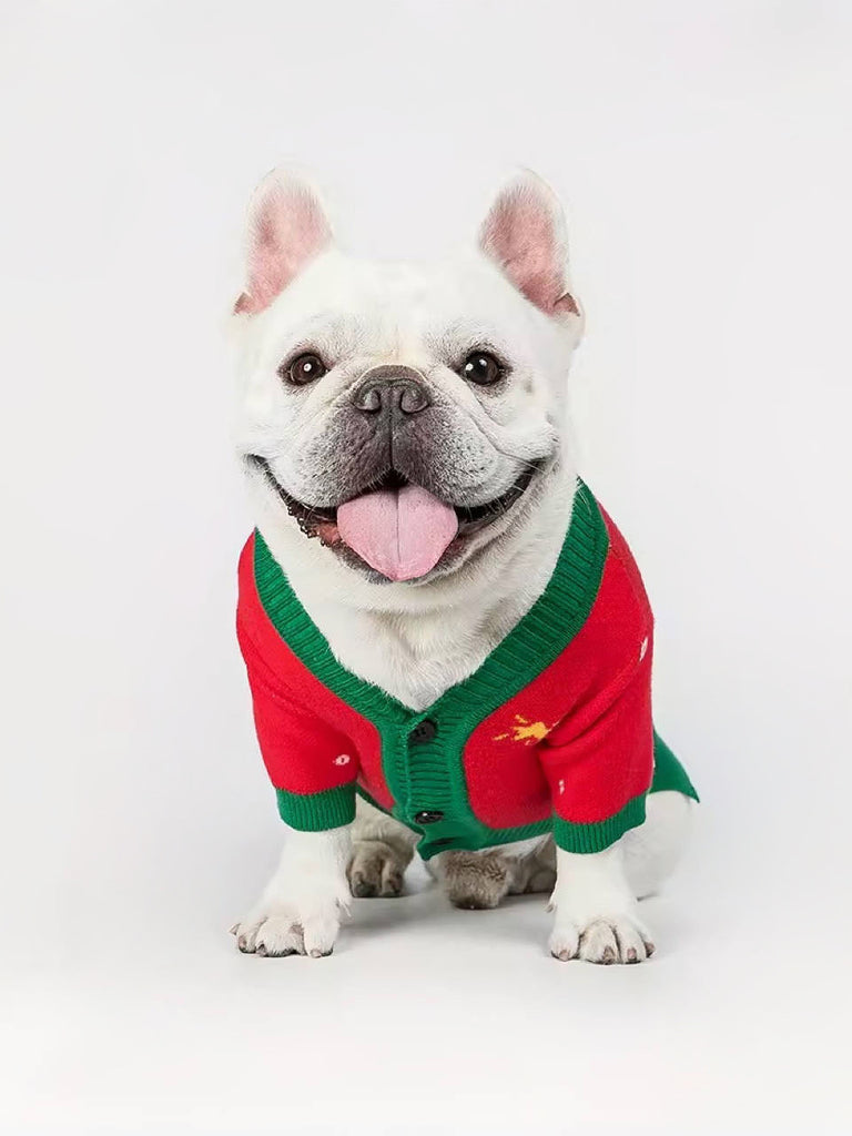 Vibrant Red and Green Christmas Sweater