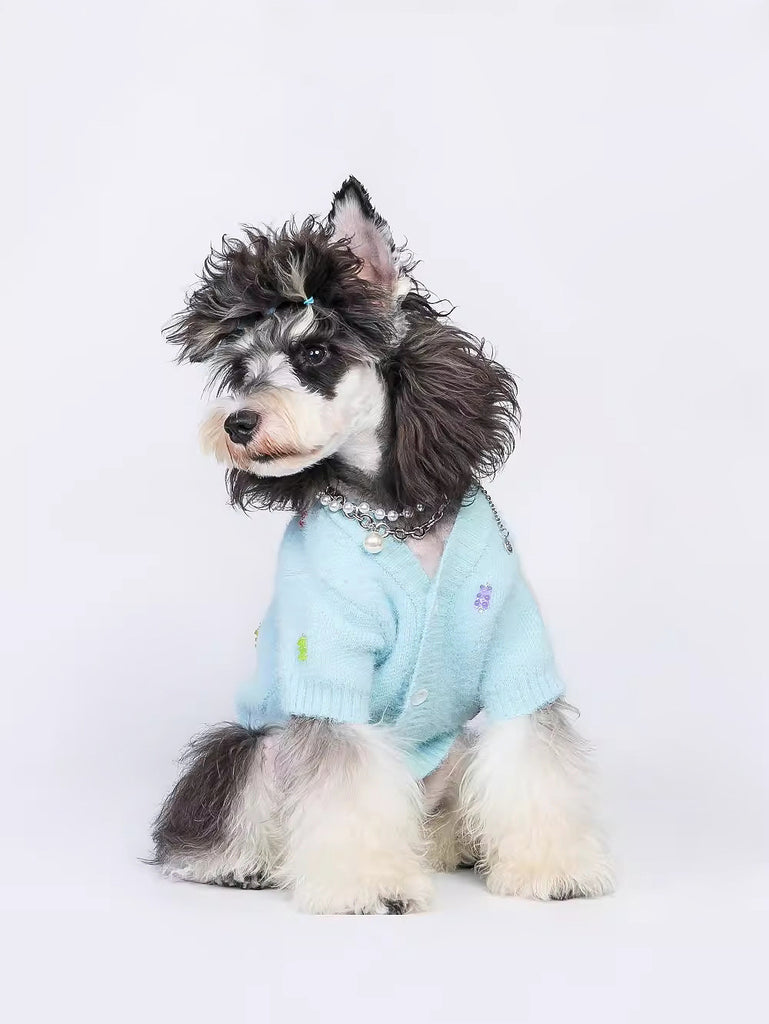 Jelly Bear Cuttie Sweater for Pets