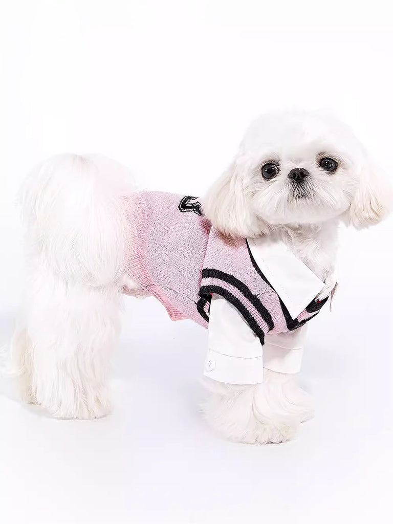 College-Style Knit Vest for Pets 