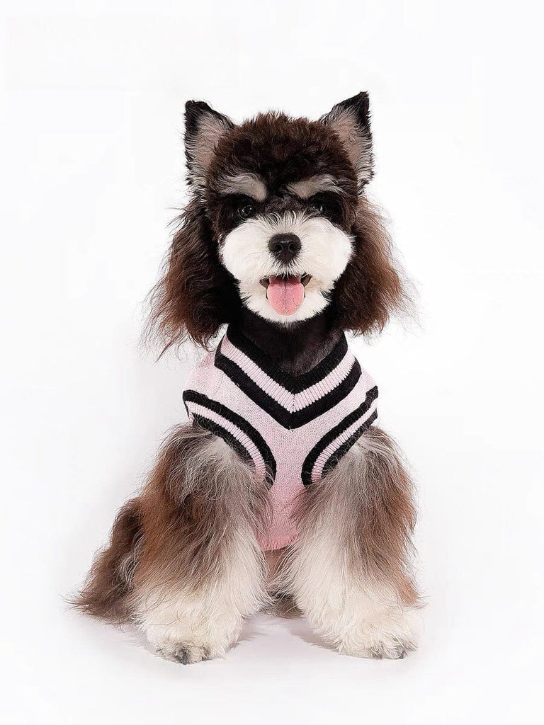 College-Style Knit Vest for Pets at Home