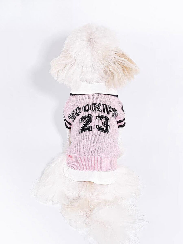 College-Style Knit Vest for Pets at Dog School