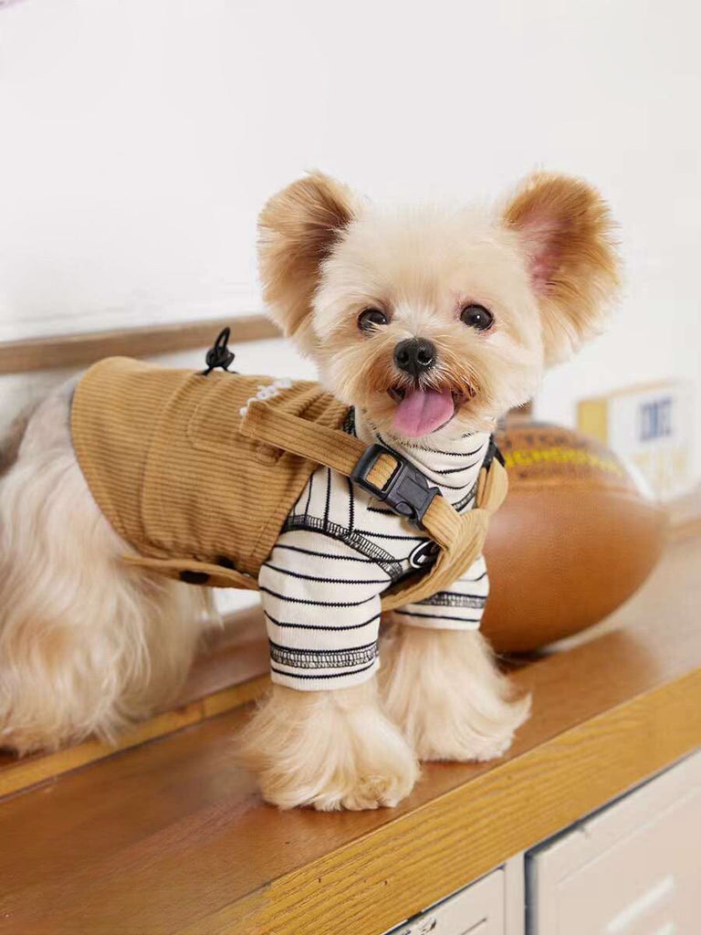 Corduroy Work Pants for Pets at Home