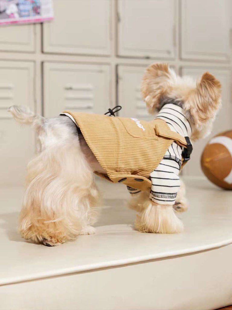 Cool Corduroy Work Pants for Pets Outside