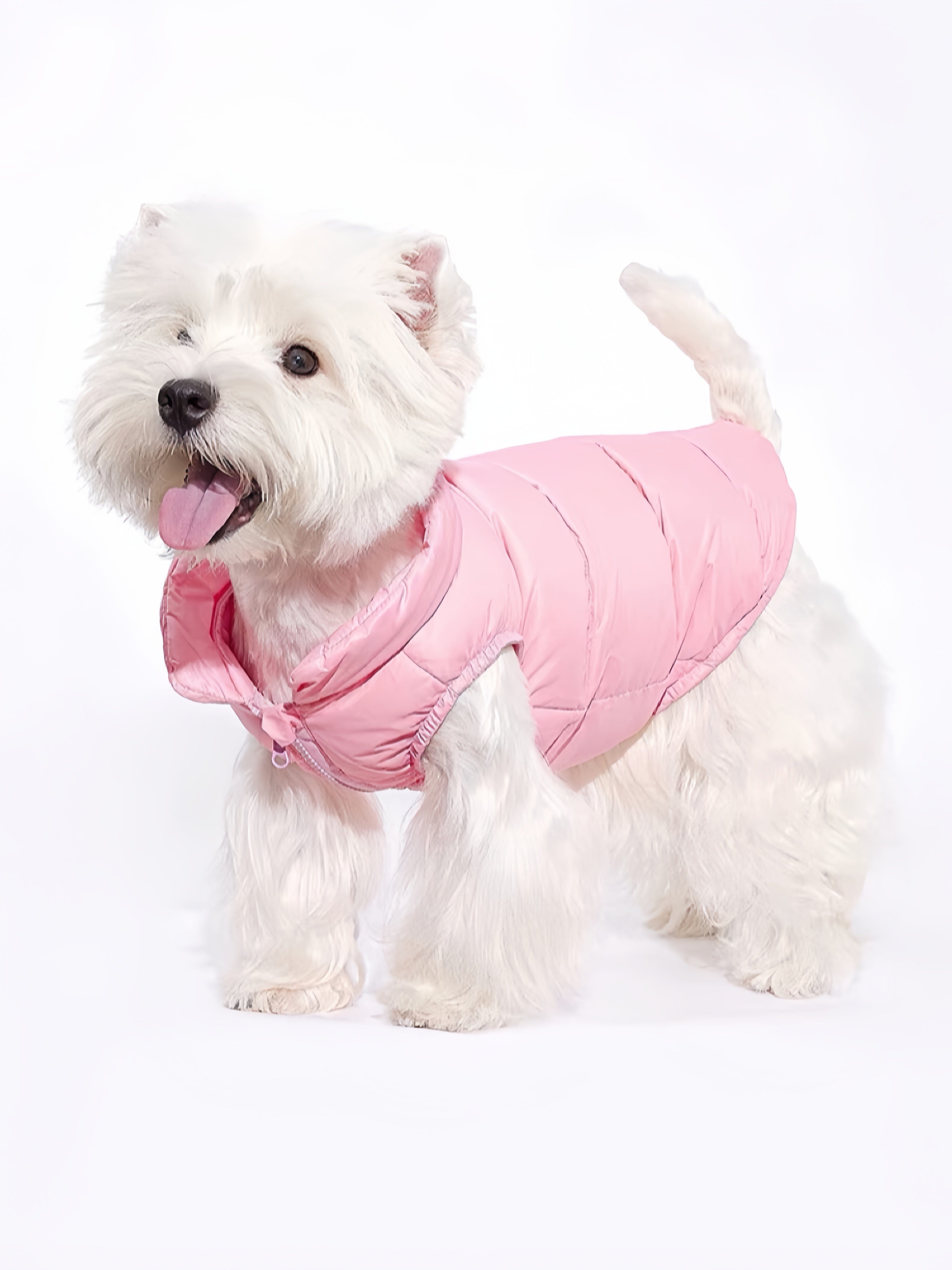Buy Msy yien Pet Cotton Filler, Dog Wear, Pet Dog Clothes, Down