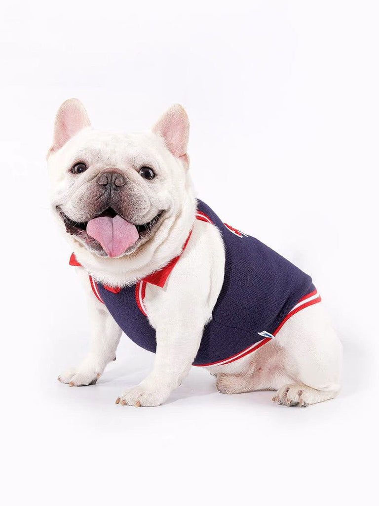 Country Club Style Knitted Vest for Pets Outside