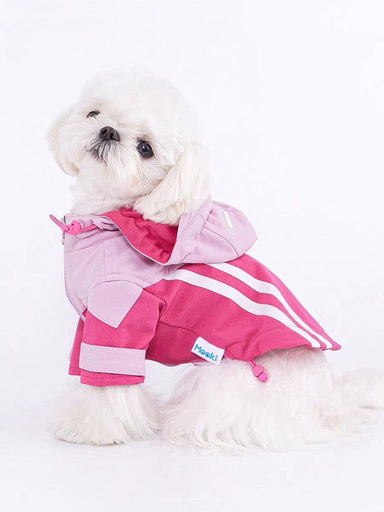 Dog Jacket with Harness Outside