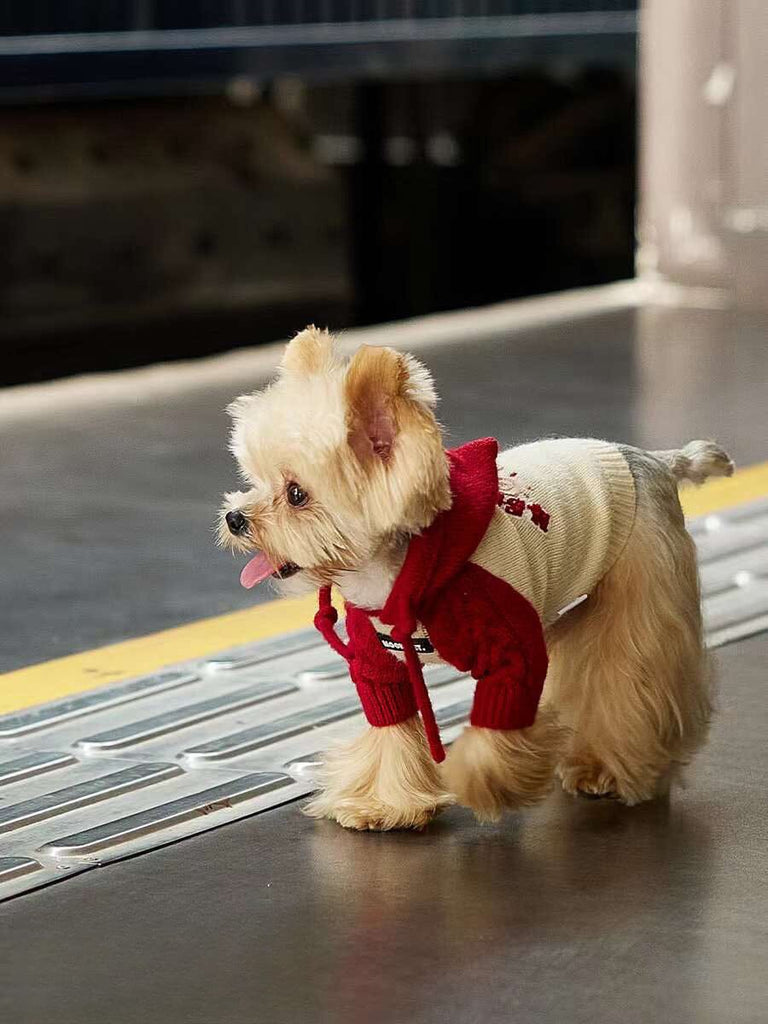 Cutties Hooded Knit for Pets