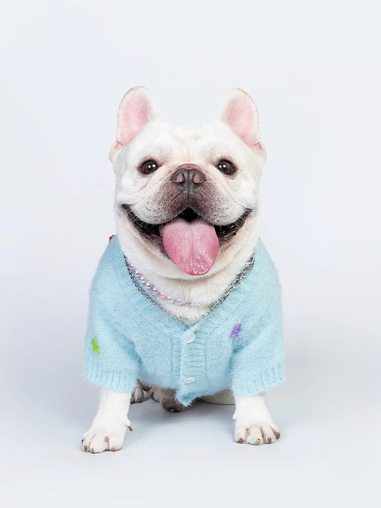 Jelly Bear Cuttie Sweater for Pets Outside