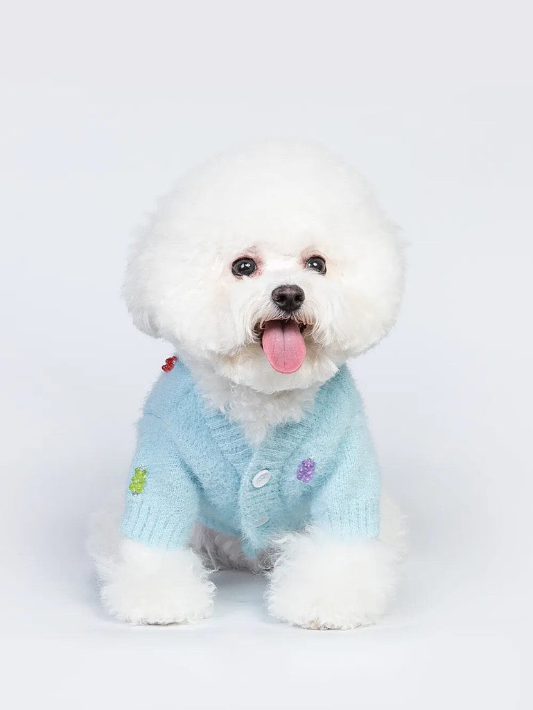 Jelly Bear Cuttie Sweater for Pets