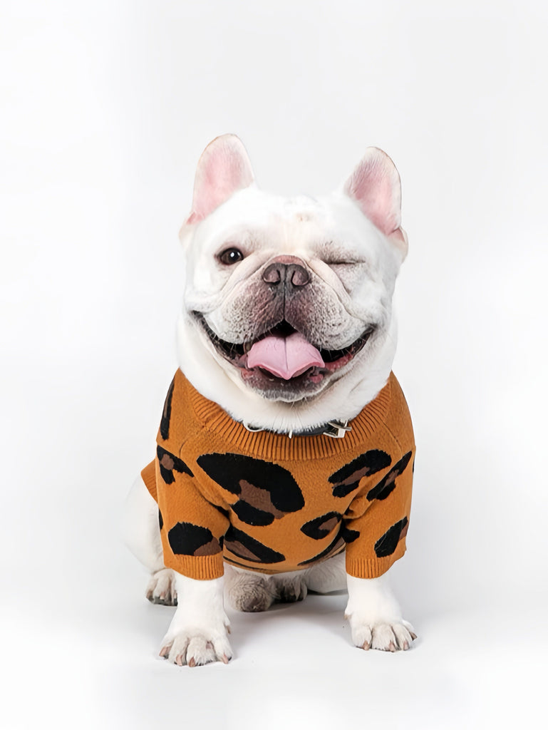 Leopard Print Hip-Hop Sweater for Pets at Home