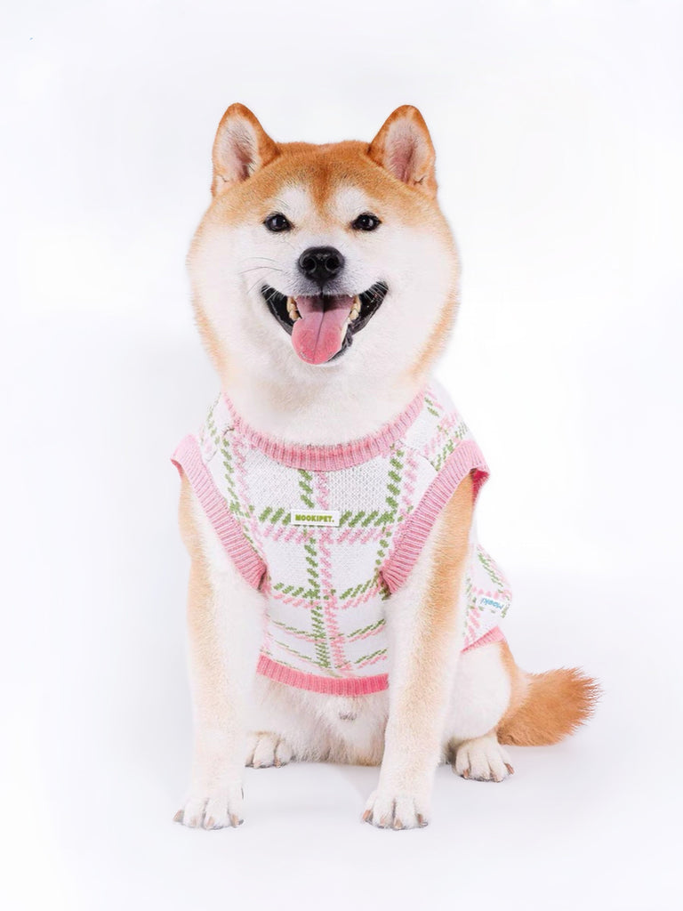 Beautiful Rosemary Plaid Vest for Pets