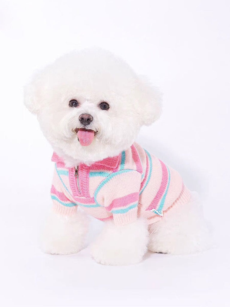 Striped Polo Zip Sweater for Pets Outside