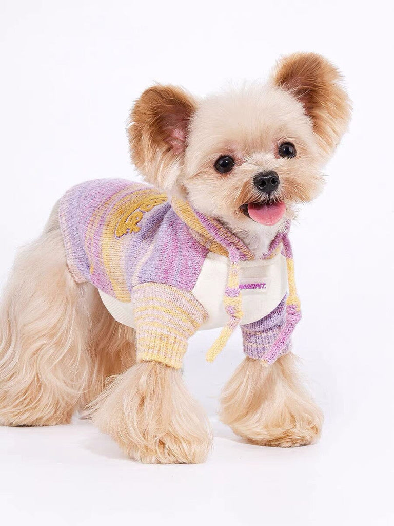 Sunset Radiance Sweater for Pets