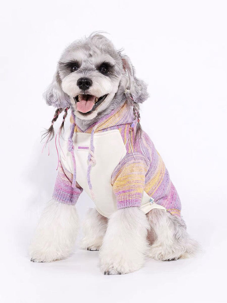 Sunset Radiance Sweater for Pets Outside