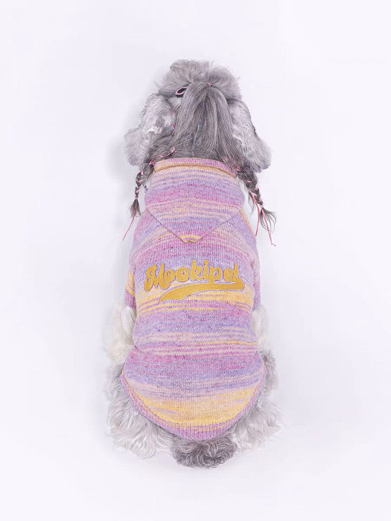 Cute Sunset Radiance Sweater for Pets